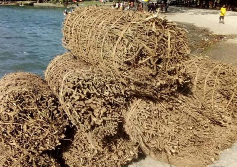 Woven bales of dried kava root stacked at the waterfront