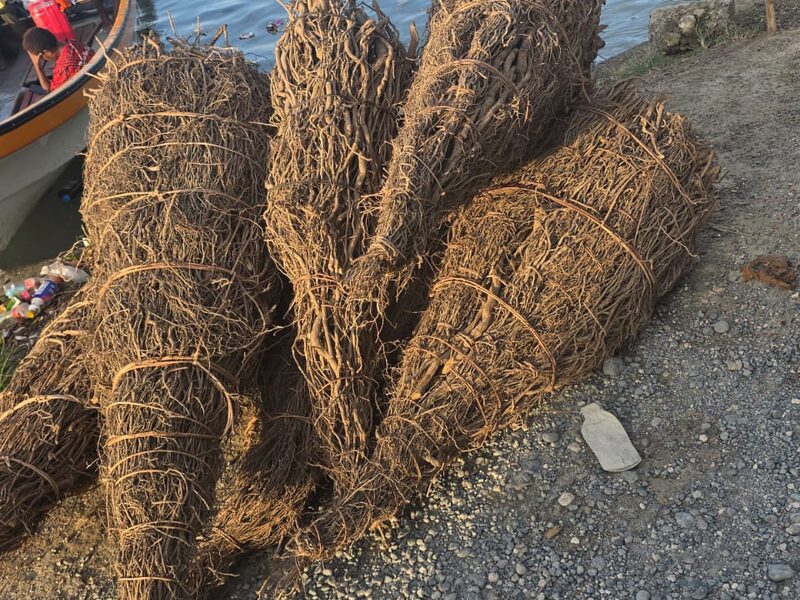 Bales of kava root beside a boat at the river landing