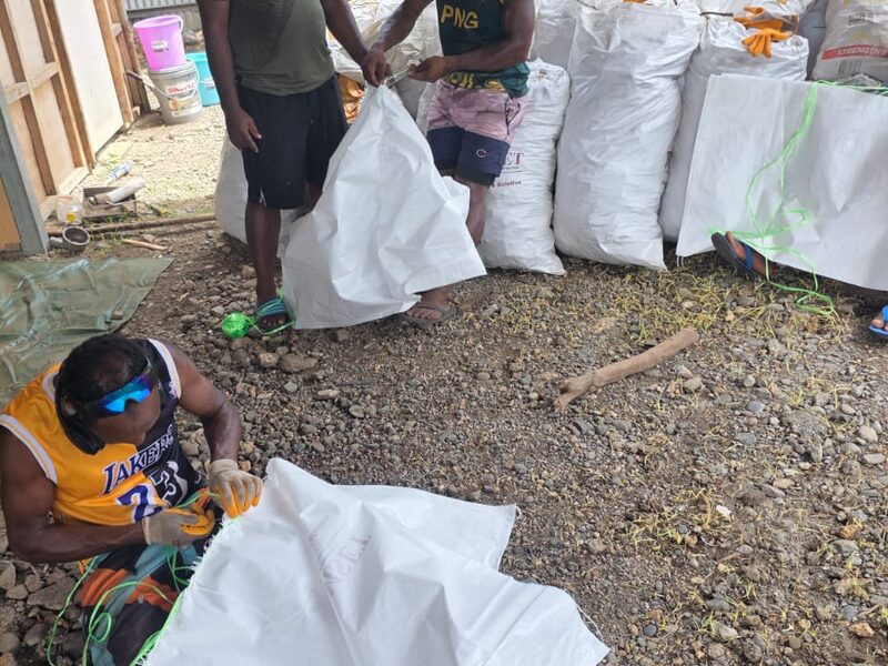 Workers filling export bags with dried kava root